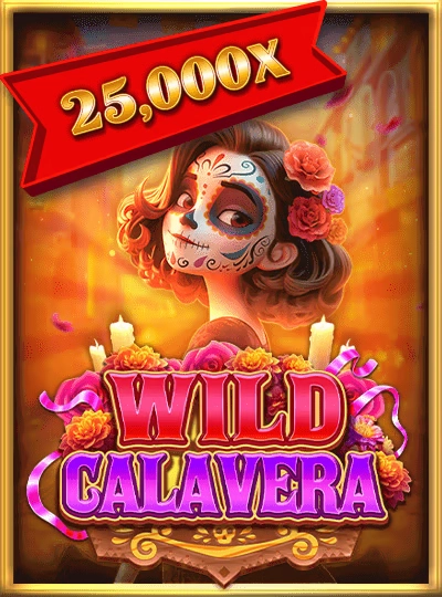 73win